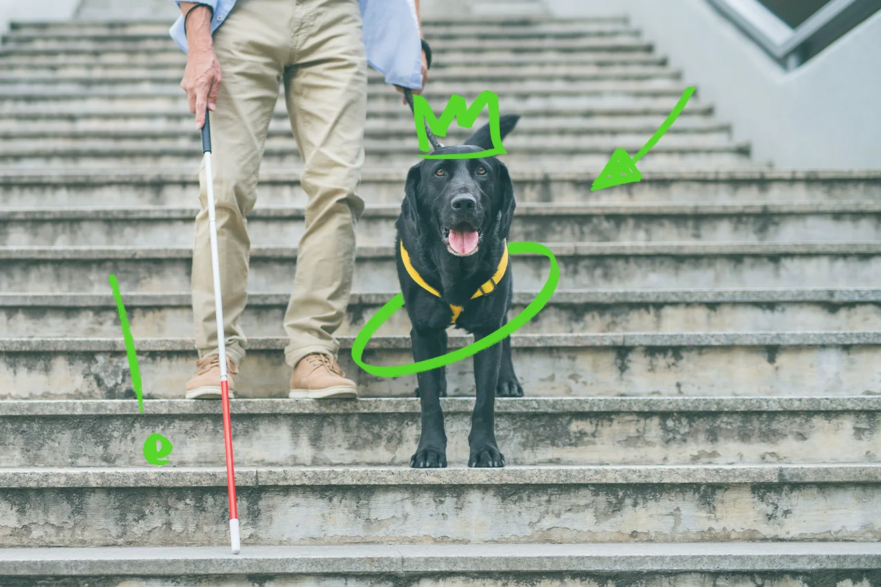 Persona con bastone bianco, cane guida con imbracatura gialla sulle scale, che evidenzia il ruolo dell'accessibilità web.